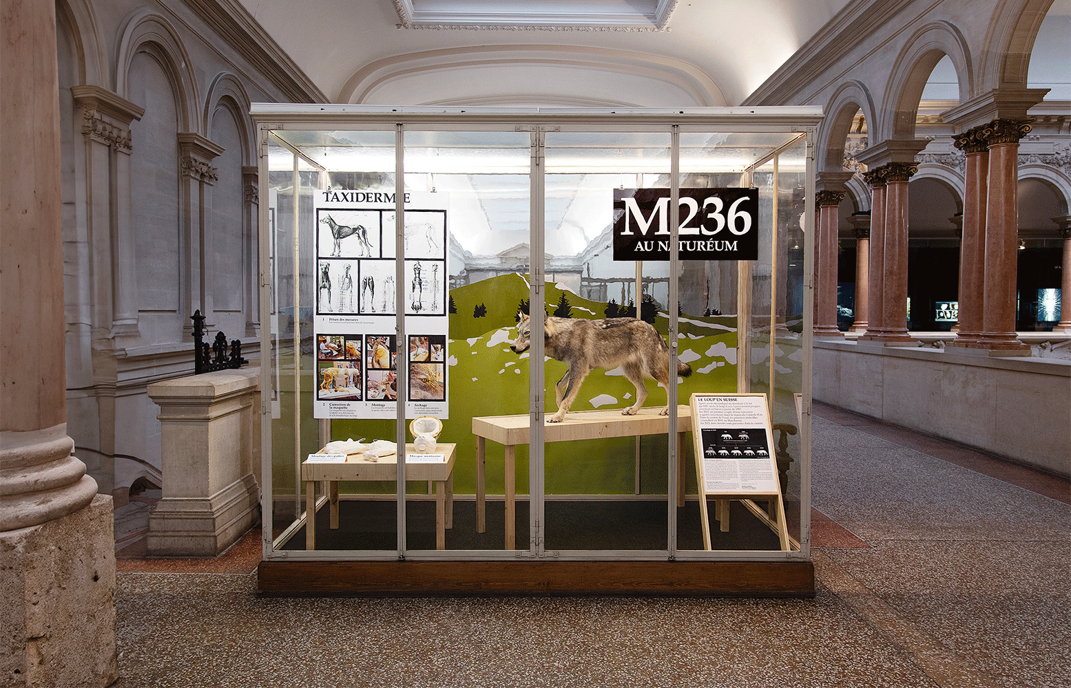M236 | Naturéum, Lausanne | 2023
